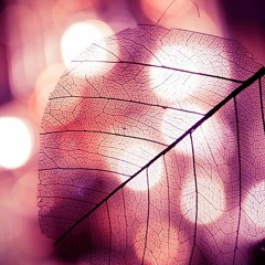 Rough demo ft big sean.mp3