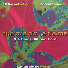 DS- Elle m'a dit je t'aime Single mix