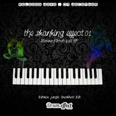 The Skanking Effect 01 PromoFreeDll (Out on 09 December)