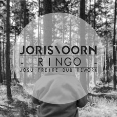 Joris Voorn-Ringo (Josu Freire Dub Rework)