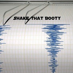 Shake That Booty - VinnyX (remix)