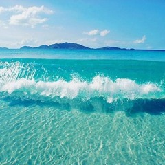Mr.Brown- Beach time