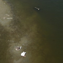 Nachtfetzen (lyrics by Karin Tarabochia)