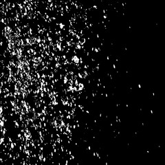 COP 21 événement Düsseldorf