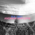 Andrew&#x20;Applepie Berlin Artwork