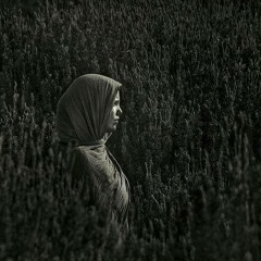 الى الساده اللي سابو الجَرح كالعاده ..
