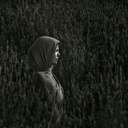 الى الساده اللي سابو الجَرح كالعاده ..