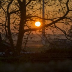 Ode Aan Het Leven (Cover) Diggy Dex & JW Roy