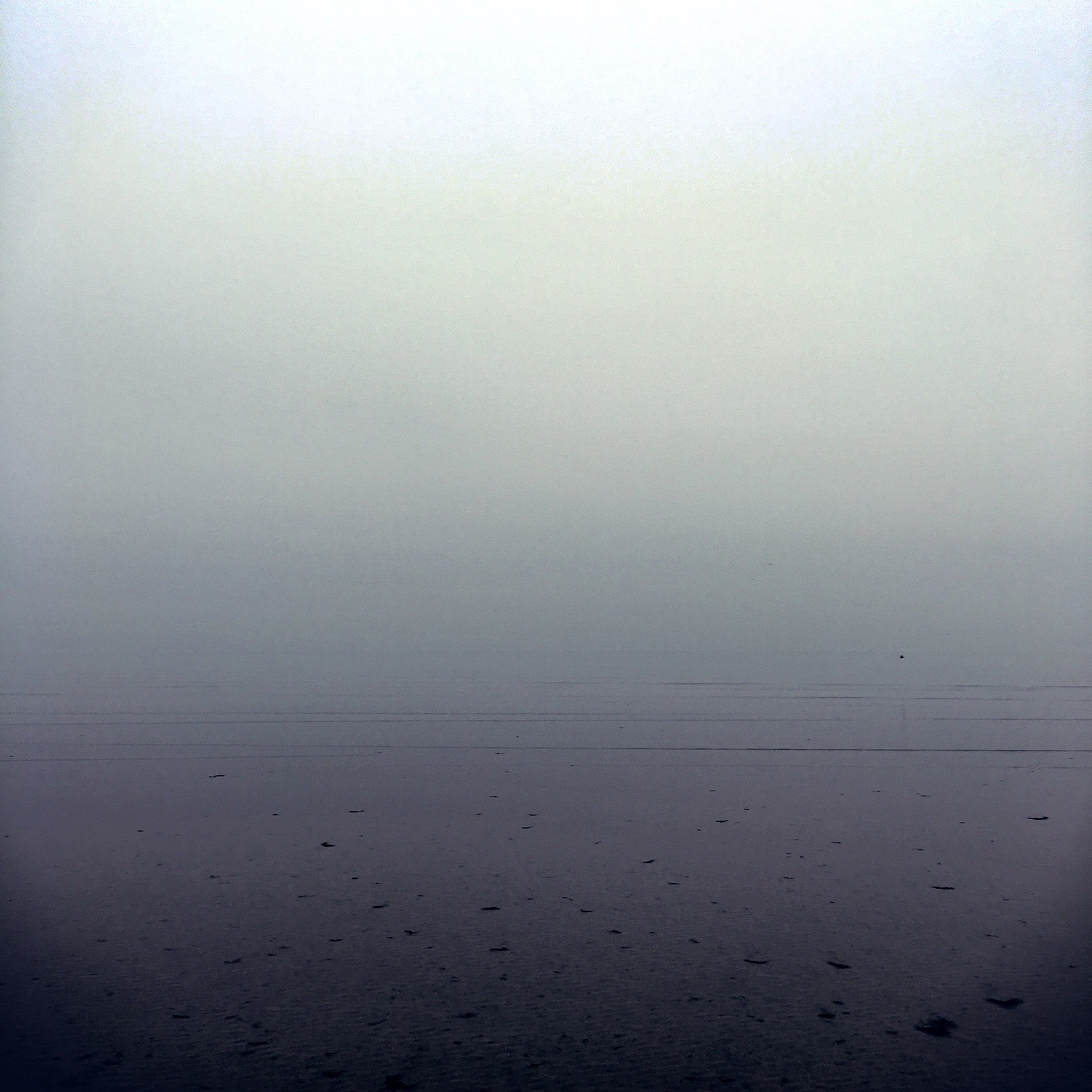 Mud Flats episode artwork