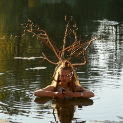 Vienna // Omega Birch