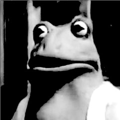 I Amphibian - Ribbit Reggae (Below Orbit Remix)