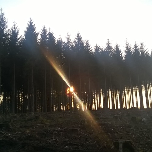 You're only dreaming so sleep (demo_)