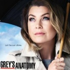 Grey's Anatomy  - Love Story (Cover) By Barcelona