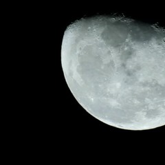 I Will Follow You Into The Dark