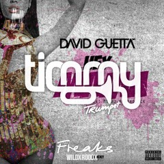 David Guetta Vs Timmy Trumpet - Hey Mama Vs. Freaks (WildXRoodX MASHUP)