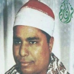 روائع العملاق الشيخ محمد الليثى رحمه الله