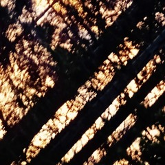 Donate Yourself To Science