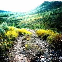 Yoruba Basin Jazz2015