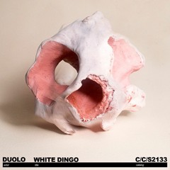 DUOLO - White Dingo