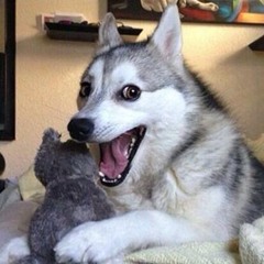 I'm Not The Only One