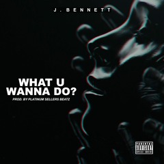 (New Song Up NOW!)What U Wanna Do (Prod. By Platinum Sellers Beatz)