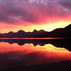 Leaving Tomorrow (2)