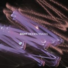 8IGHT - Hidden Traces (SA066)