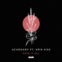 Acaddamy - Have It All feat. Kris Kiss (The Beatangers Remix)