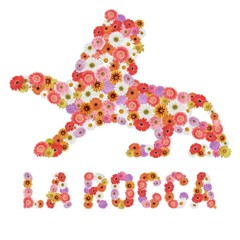 Declaim @ Super H - La Rocca 10-01-2015