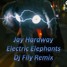Electric Elephants Dj Fily Remix