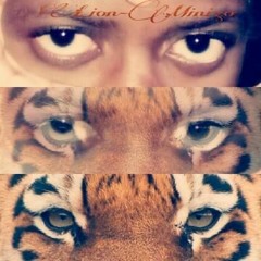 vicetone ft. kat nestel - nothing stopping me/  (Siven xl remix)