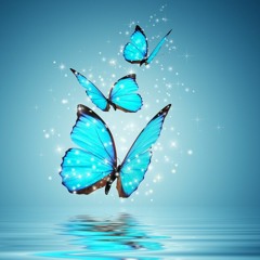 The Voice Of Butterfly