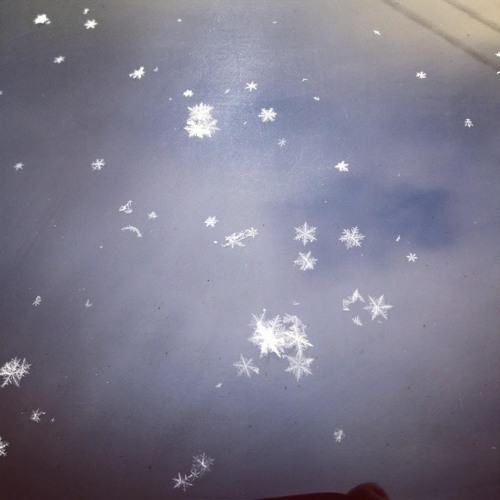 Vong Doi - Truong Bich Than [MP3 320kbps]