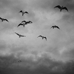 ირაკლი ჩარკვიანი -დრო