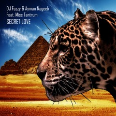 DJ Fuzzy & Ayman Nageeb FT. Miss Tantrum - Secret Love (Andrey Kravtsov & Monoteq Remix)