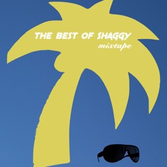 The Best Of Shaggy Mixtape
