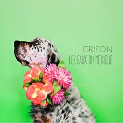 GRIFON Eaux Du Mexique (PAVANE Remix)