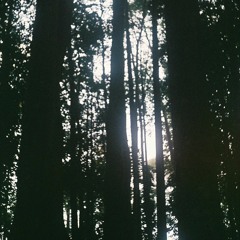 Talk Me Down (Troye Sivan cover)(duet)