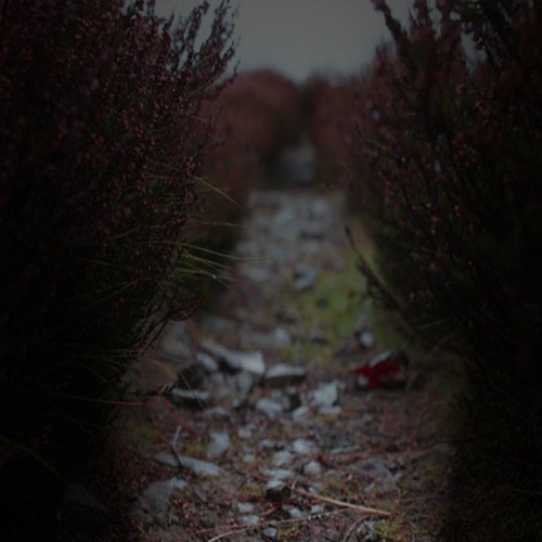B. Hasemeyer & NumbersInTheDream - Invisible, But I Still Love You