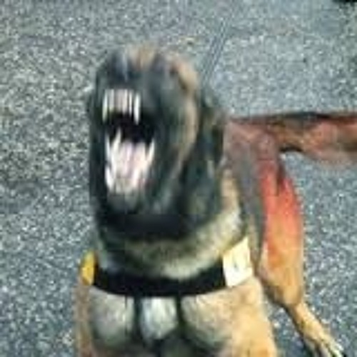 Joedan - Blatant Murder (Dappa RinseFM)