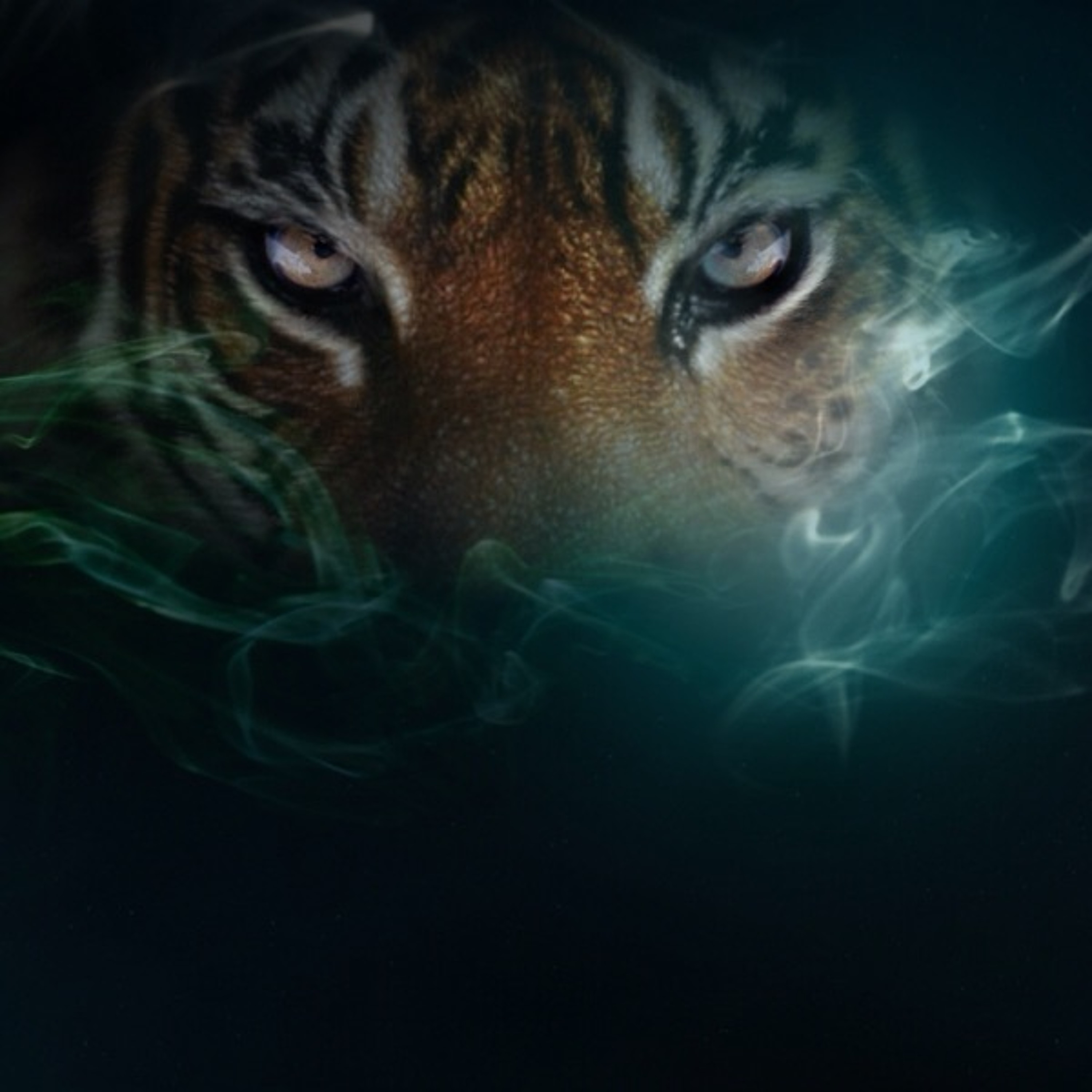 Amur episode artwork