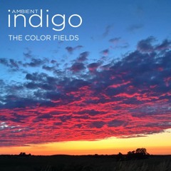The Color Fields