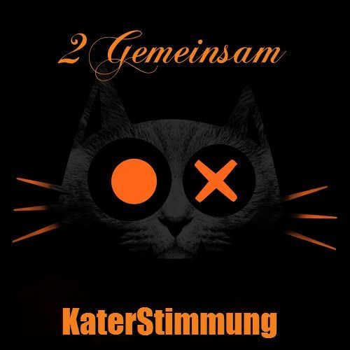 2Gemeinsam - Play KaterSounds