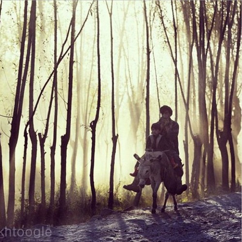 Zama Janan Zama Arman dey Grana  Tappy by Obaid Khan