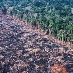 Hasle Rüegsau - Deforestation (not mastered, first track ever produced)