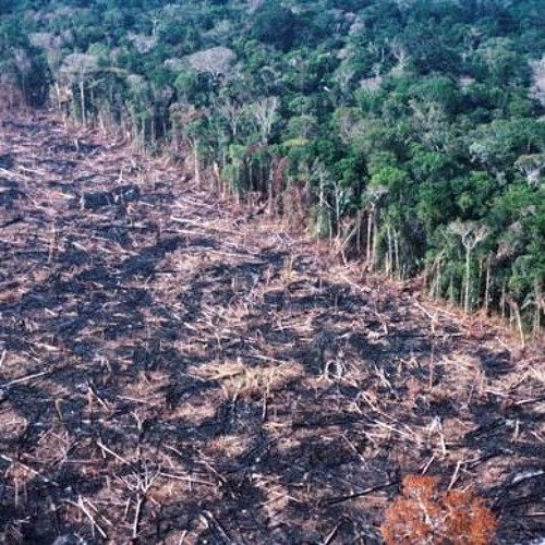 Hasle Rüegsau - Deforestation (not mastered, first track ever produced)