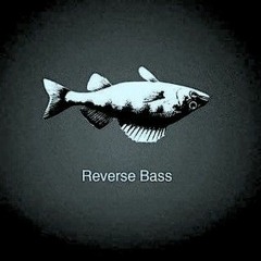 Reverse Bass Mixes