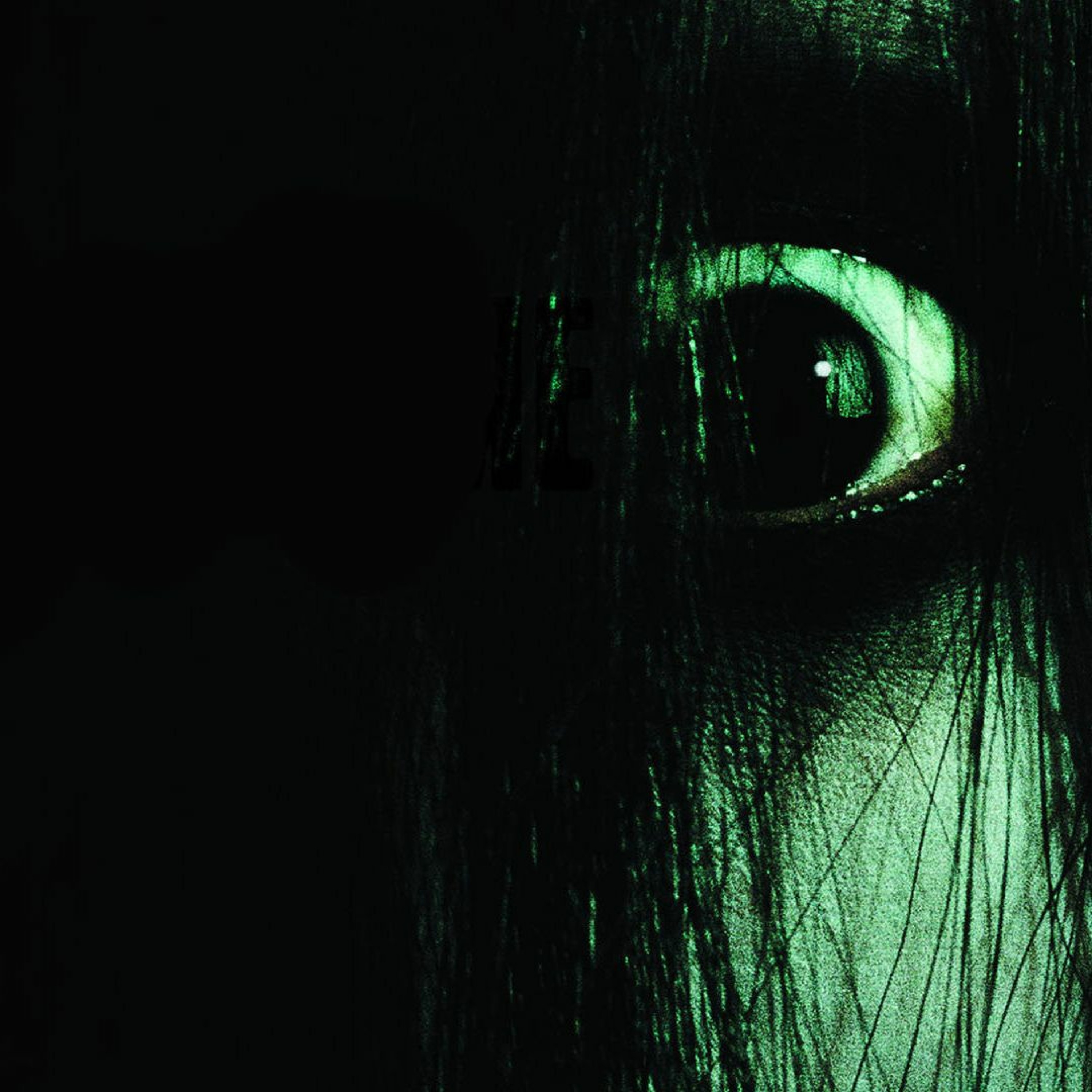 LYRISCH PRUTTELT NOG FF DOOR.......... episode artwork
