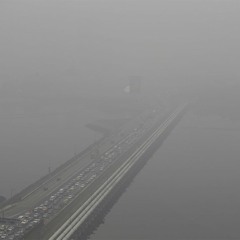 Elmerninins Falling So Far