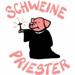 Hasle Rüegsau. - Schweinepriester (just an idea for a project)